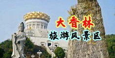 嗯嗯啊用力干视频中国浙江-绍兴大香林旅游风景区